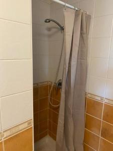 eine Dusche mit Duschvorhang im Bad in der Unterkunft Almoradi in Almoradí