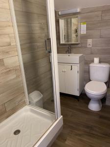 a bathroom with a toilet and a sink and a shower at Hôtel du Château in Annecy