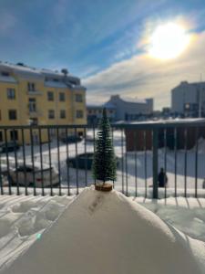 Winter Arctic apartment v zimě