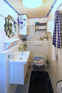 uma pequena casa de banho com lavatório e WC em Ferien bei Conny em Nüziders