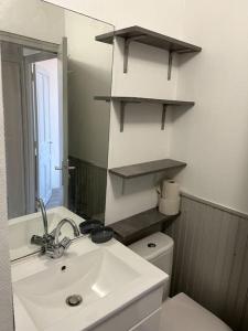 帕萊勒蒙尼亞勒的住宿－Sleep In Paray，一间带水槽、卫生间和镜子的浴室