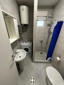 een badkamer met een wastafel, een toilet en een douche bij Selena apartment in Podgorica +46 foto's