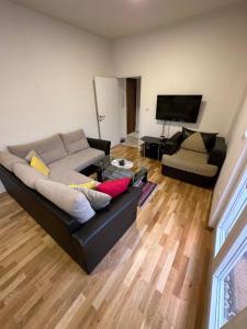 een woonkamer met een bank en een flatscreen-tv bij Selena apartment in Podgorica