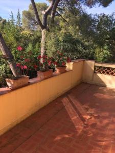 Zdjęcie z galerii obiektu VILLA LOU CIGALOUN 10 pax w miejscowości Saint-Raphaël