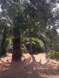 Zdjęcie z galerii obiektu VILLA LOU CIGALOUN 10 pax w miejscowości Saint-Raphaël