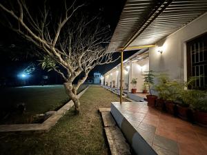 a building with a tree in the yard at night at Singaras Coffee Country in Masinagudi