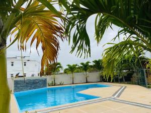 een zwembad in een tuin met een palmboom bij Unique Villa in Pamplemousses Village
