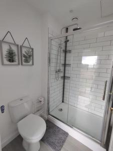 ein weißes Bad mit einem WC und einer Dusche in der Unterkunft The Studio @ Cleeve Hill in Bath