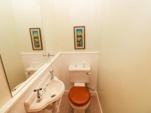 a bathroom with a toilet and a sink at Red Kite in Llanwinio +37 photos