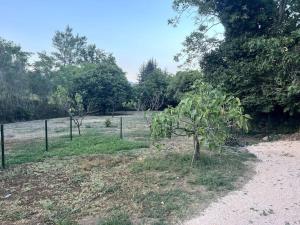 a field with a fence and a tree at Entre mer et Montagne in Prades