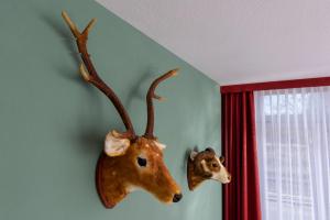 a pair of reindeer heads hanging on a wall at Wyndham Garden Donaueschingen in Donaueschingen