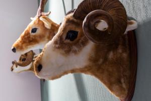 a figurine of a cow hanging on a wall at Wyndham Garden Donaueschingen in Donaueschingen