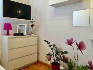 Fotografia z galérie ubytovania Magnolia Suite v Splite
