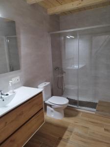 uma casa de banho com um chuveiro, um WC e um lavatório. em Balcón del Aitzgorri em Mutiloa