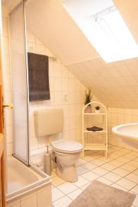 a bathroom with a toilet and a shower and a sink at Tillmann II in Hooksiel mit Hund in Wangerland