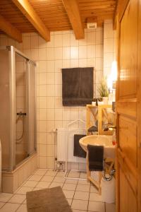 a bathroom with a shower and a sink at Tillmann II in Hooksiel mit Hund in Wangerland