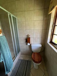 a bathroom with a toilet and a shower at Secured cottage in equestrian estate - LOADSHEDDING FREE! in Midrand