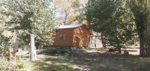 une cabane en rondins entourée d'arbres dans l'établissement Cabañas El Fogón, à Potrerillos