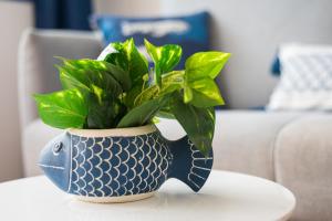 a blue and white vase with a plant on a table at Home2Book Aloha Palm in Costa Calma +29 photos