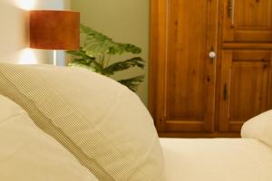 a bedroom with a bed with a lamp and a plant at B&B de Fruithof in Heteren