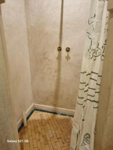 a shower with a shower curtain in a bathroom at Riad les deux citronniers in Marrakesh