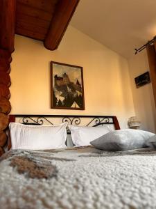 a bedroom with a bed with a picture on the wall at Cabana Rustic Bran in Bran