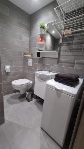 La salle de bains est pourvue de toilettes et d'un lavabo. dans l'établissement Studio zone piétonne à Saverne, à Saverne