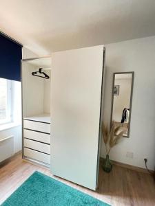 a room with a closet with a mirror and a rug at Studio zone piétonne à Saverne in Saverne