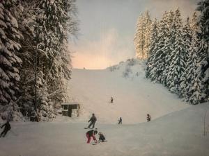 a group of people skiing down a snow covered slope at Auszeit - a84018 in Mengersgereuth-Hämmern