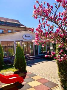 a red bench in front of a building with pink flowers at Hotel Perlyna ARS in Stryi