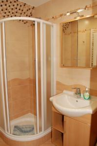 W łazience znajduje się prysznic i umywalka. w obiekcie Penzion Markus w mieście Frymburk
