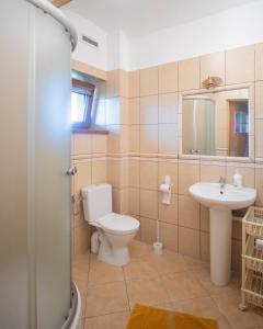 a bathroom with a toilet and a sink at Agroturystyka u Dorsza in Dąbrowa Człuchowska