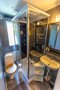 a bathroom with a shower and a toilet and a sink at 3-bedroom condo with indoor fireplace in Nyland