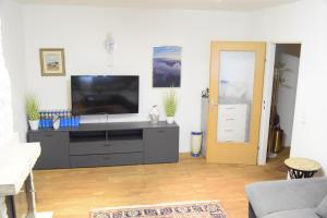 una sala de estar con TV de pantalla plana en una cómoda en 100qm comfort, family-friendly and top located en Guntramsdorf