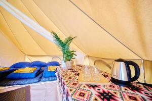 Tipi tent in de centrale Ardennen, Rendeux – Updated 2023 Prices