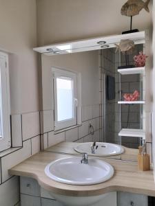 a bathroom with a sink and a mirror at Gites à Moussan ,Domaine de la barque à 5 mins de Narbonne in Moussan
