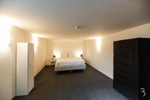 1 dormitorio con 1 cama y TV en una habitación en Hôtel Battice - Appart Hôtel, en Herve