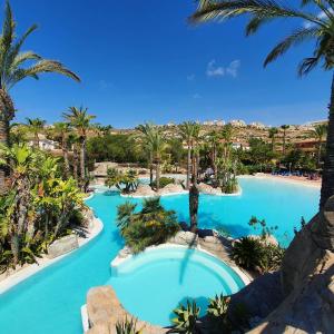 een groot zwembad met palmbomen en blauw water bij Chalet exclusivo bonalba in Alicante