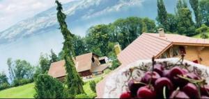 a house with a bunch of apples in front of it at Lakeview Rustic in Krattigen