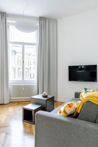 TV a/nebo společenská místnost v ubytování Apartment Brno