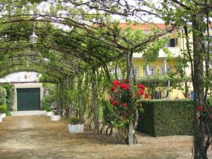 einen Torbogen mit roten Blumen im Garten in der Unterkunft Casa/Apartamento de hóspedes in Viana do Castelo