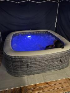 un perro tirado en una bañera azul en una habitación en Kay Sandra à 2 mn du CHU, en Saint-Joseph