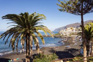 a view of a beach with palm trees and the ocean at Coastal Hideaway in Puerto de Santiago