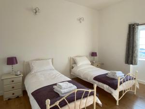 a bedroom with two beds and a window at Pembrokeshire Near Beach With A Hot Tub in Pembroke