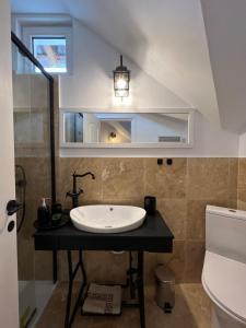 a bathroom with a sink and a toilet at Casa de vacanta traditionala La Fanar in Schiuleşti +50 photos