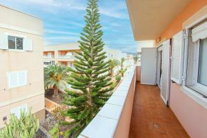 una palma sul balcone di un edificio di Lovely 2 bedroom home with nice Pool and View a Costa Del Silencio