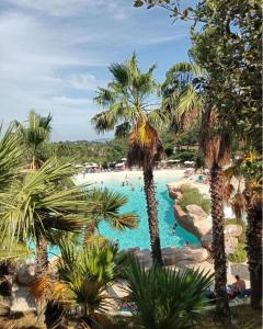 uma piscina com palmeiras num resort em Charmant appartement Village Restanques de Saint Tropez em Grimaud