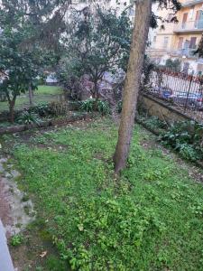 a tree in the grass next to a fence at RiDi Home Zona Ospedaliera in Naples
