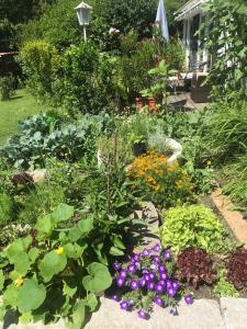 um jardim com muitas flores e plantas diferentes em Sonnenloft Else und Studio Luise em Neubeuern