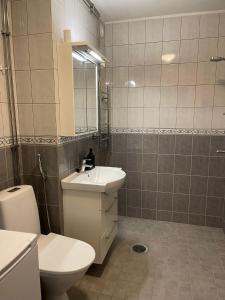 a bathroom with a toilet and a sink at Wiitakoto in Viitasaari